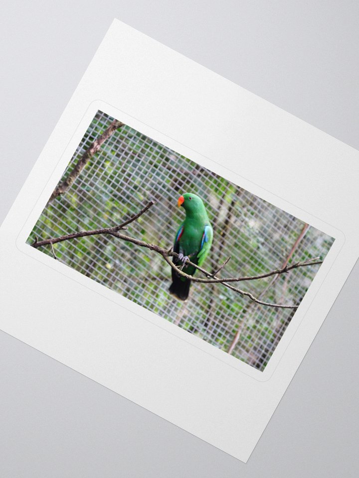 Vibrant Parrot Kiss Cut Stickers product image (2)