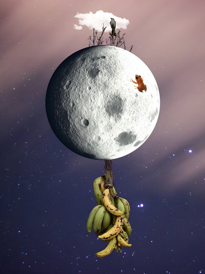 Isla en la Luna product image (1)