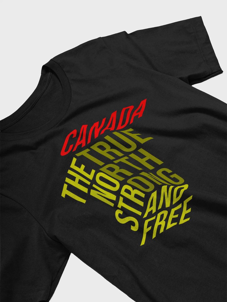 True North Stylized T-Shirt product image (33)
