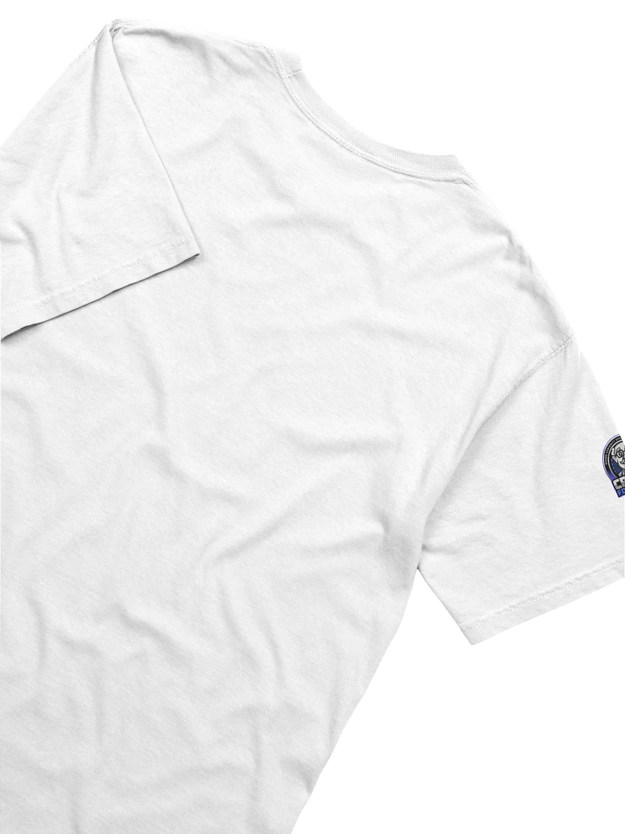 Crypto Heavyweight T-Shirt (Lower Price) product image (4)