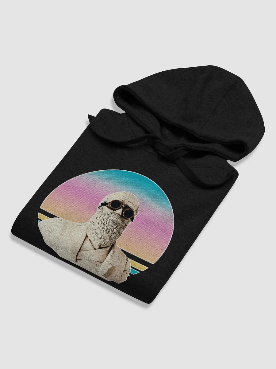 Darwinism Hoodie product image (6)