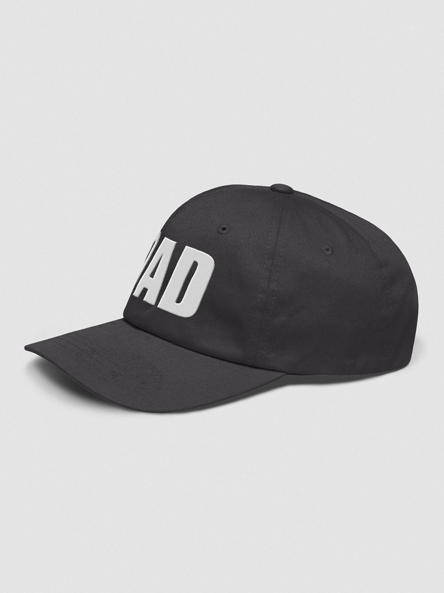 Dad Hat product image (3)