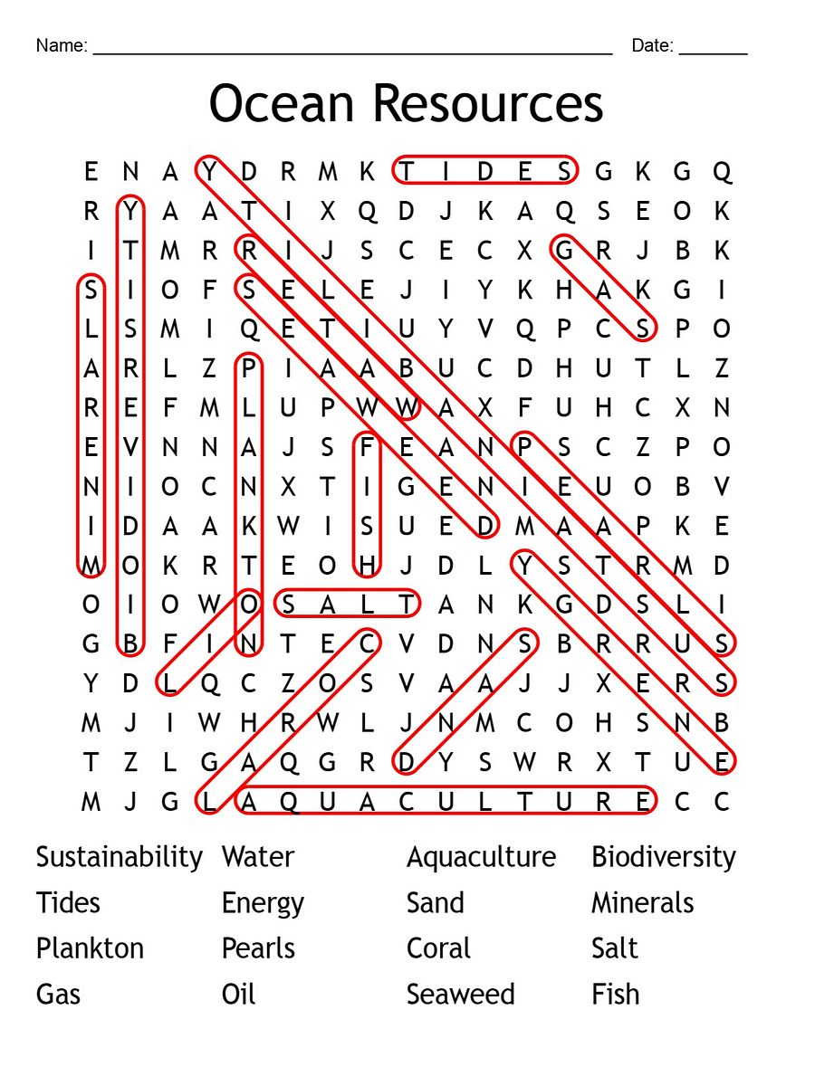Printable Ocean Resources Word Search Puzzle product image (2)