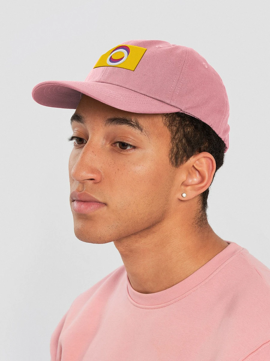Nonpolar Nonbinary Pride Flag - Embroidered Hat product image (7)