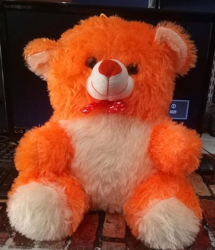 TEDDY BEAR product image (1)