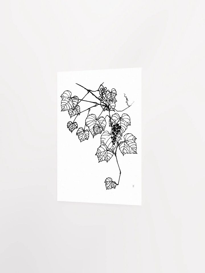 Vibrant Vineyard: Premium Matte Paper Poster - Grape Leaves Stylish product image (2)