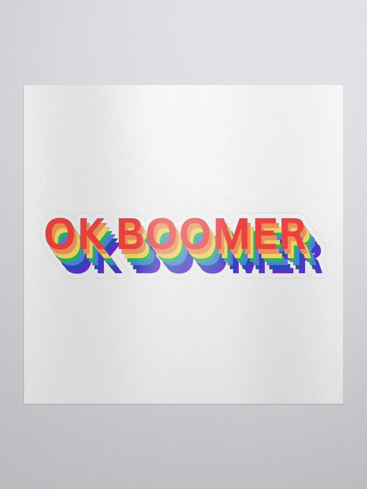 Ok Boomer product image (1)