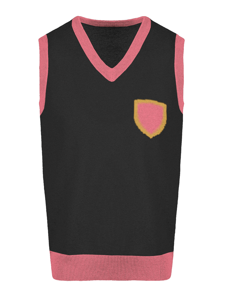 Scholastic Celebration V-Neck Knit Vest product image (15)