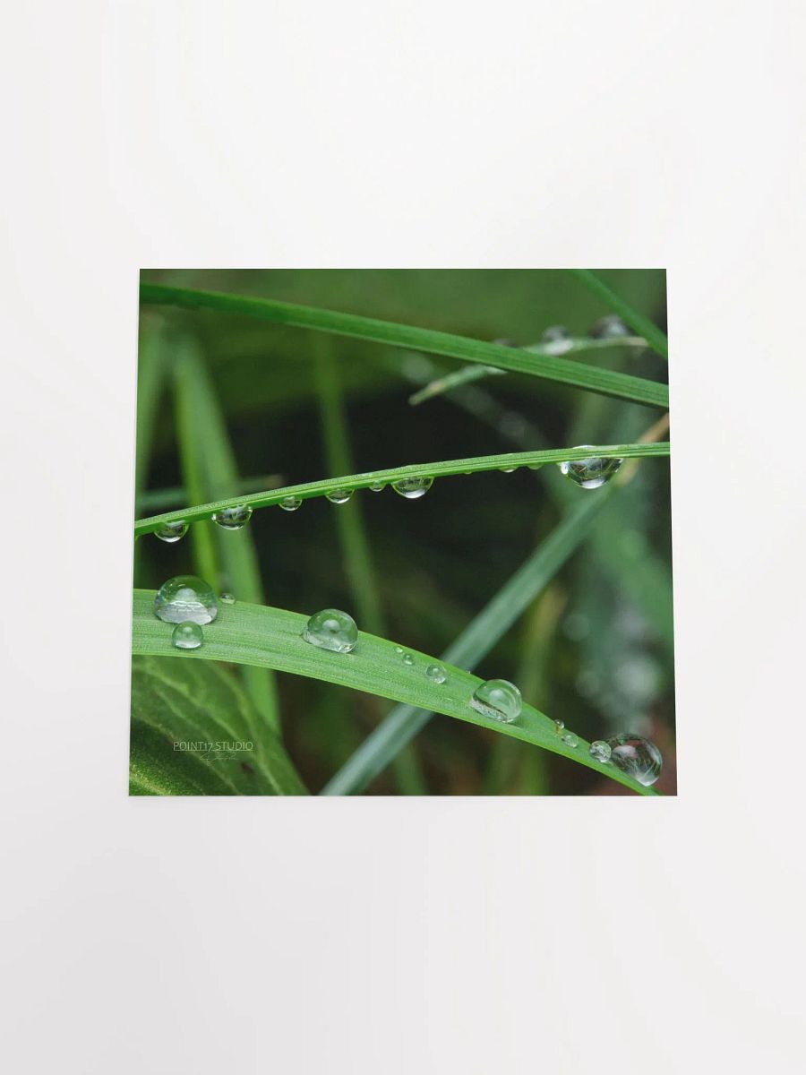 Dew Gems #9 - Print product image (10)