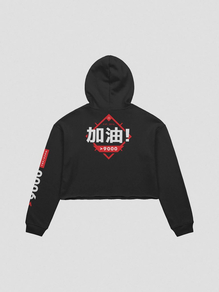 TRP Jiāyóu Cropped Hoodie product image (2)