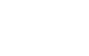 Nik Roswell