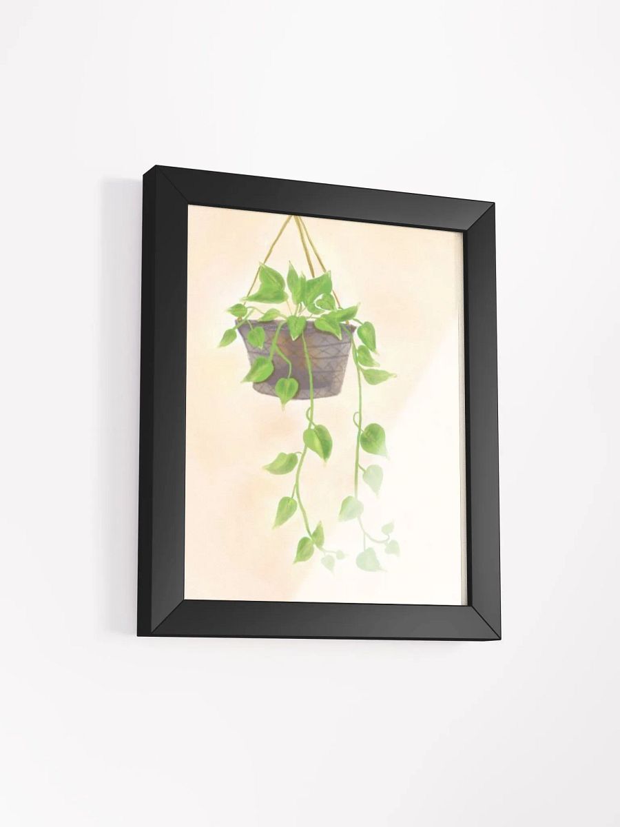 Hanging Plant product image (37)