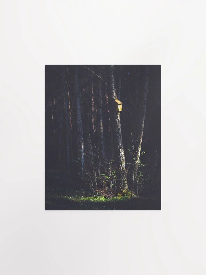The Bird Box product image (3)