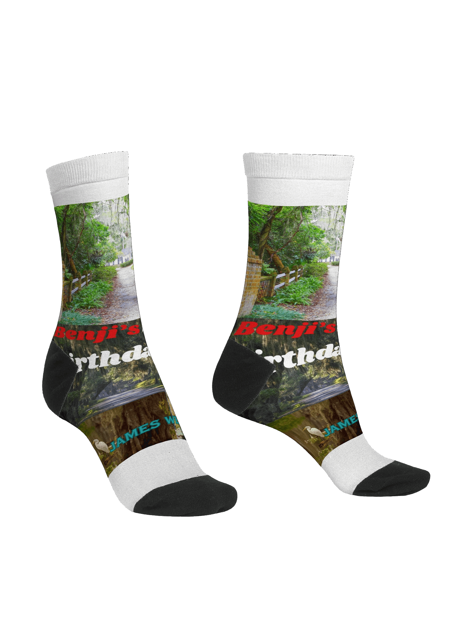 Benji's Bayou Birthday Bash EcoArt Crew Socks product image (3)