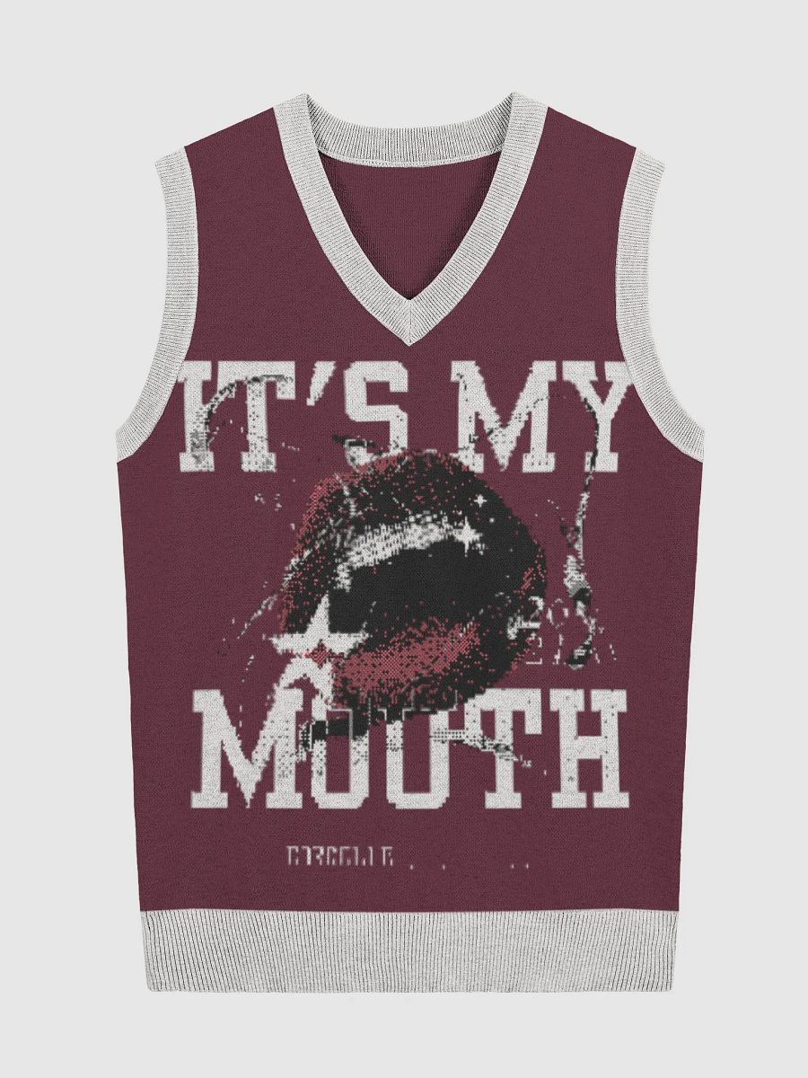 Mouthful of Style Knitted V-Neck Vest product image (5)