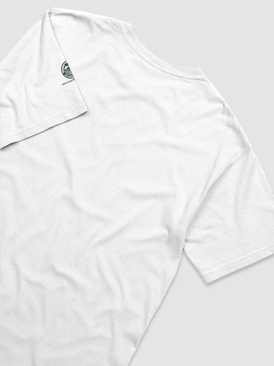 🔥 Official "The Gemini Twins! WE!!!" T-Shirt 🎶 Featuring Emily's Daydream Logo on the Sleeve 🎭 product image (4)