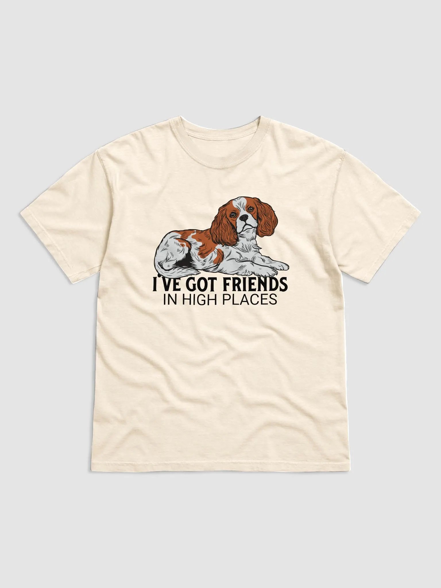 I've Got Friends in High Places T-Shirt of a Cavalier King Charles Spaniel | Funny T-Shirt for Spaniel Paw-rents product image (28)