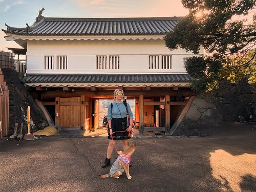 We took a trip out to Yamanashi. Did some wine tours in @koshuvalley 
1000000% going back again. Such a hidden treasure we fo...