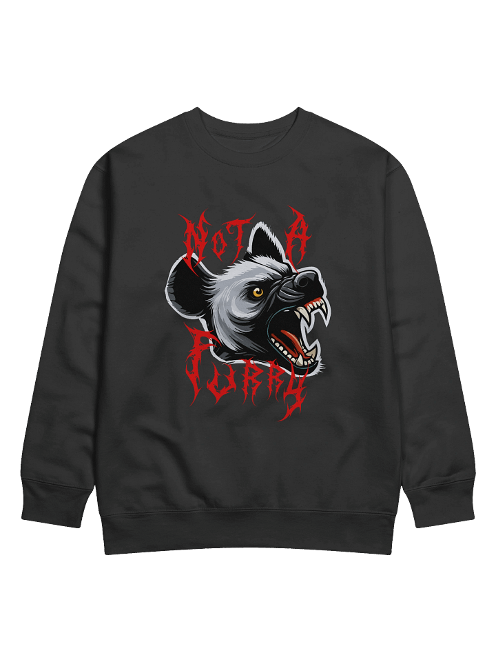 NOT A HYENA SWEATSHIRT product image (1)