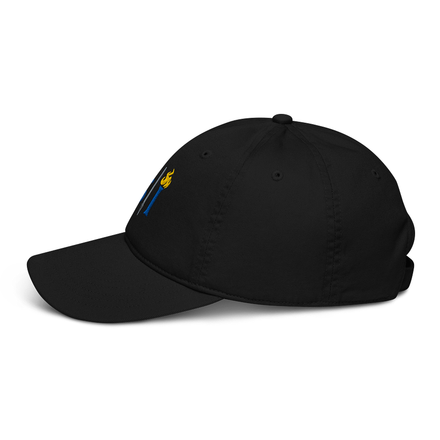 SI Dad Hat product image (3)