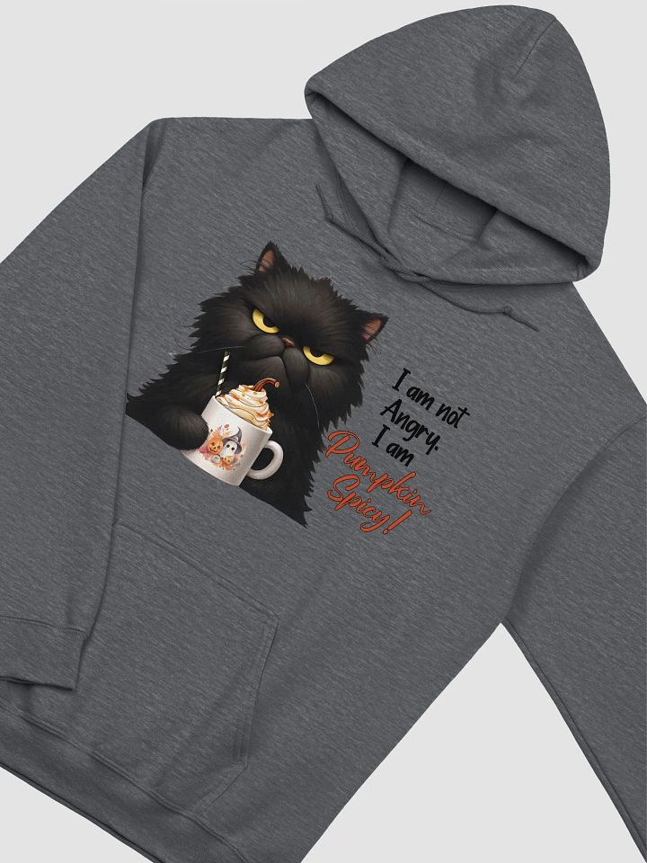 Pumpkin Spicy the hoodie product image (3)
