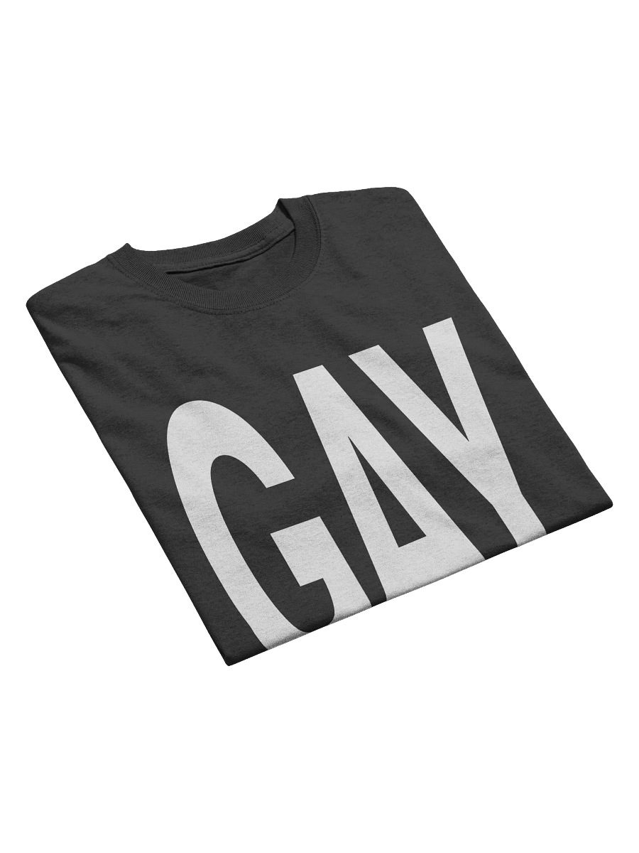 'GAY' T-Shirt product image (10)