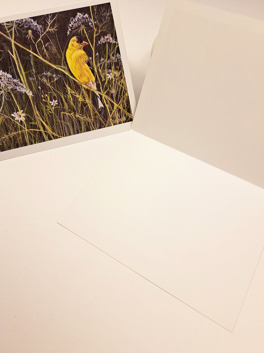 Wildlife Art Greeting Card - American Goldfinch - Shipping Included product image (5)
