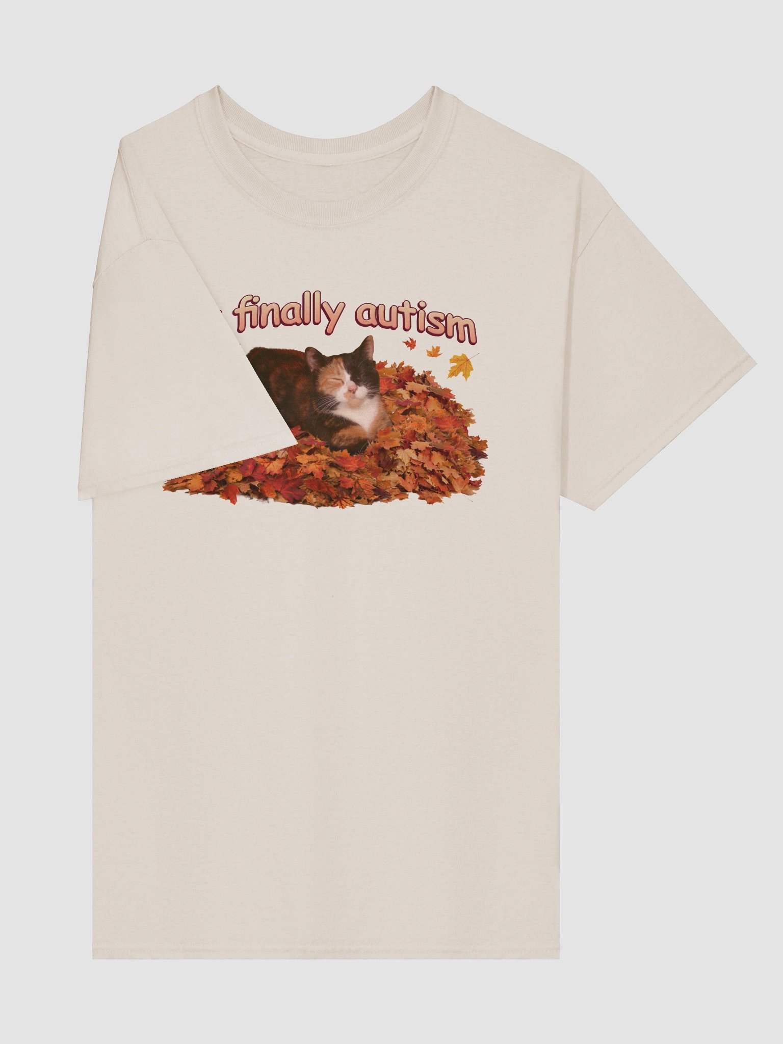 It's Finally Autism Autumn Cat T-shirt product image (5)