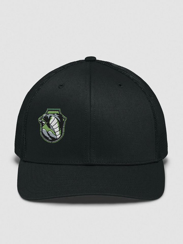 VenomGotYa Hat product image (4)