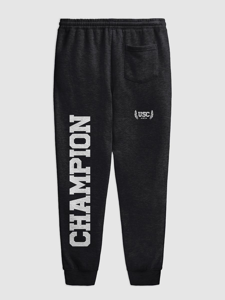 Independent Trading Co. X USC | University Joggers product image (2)