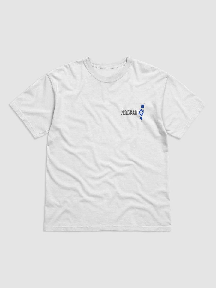PROMISED T-Shirt – Covenant Edition product image (1)