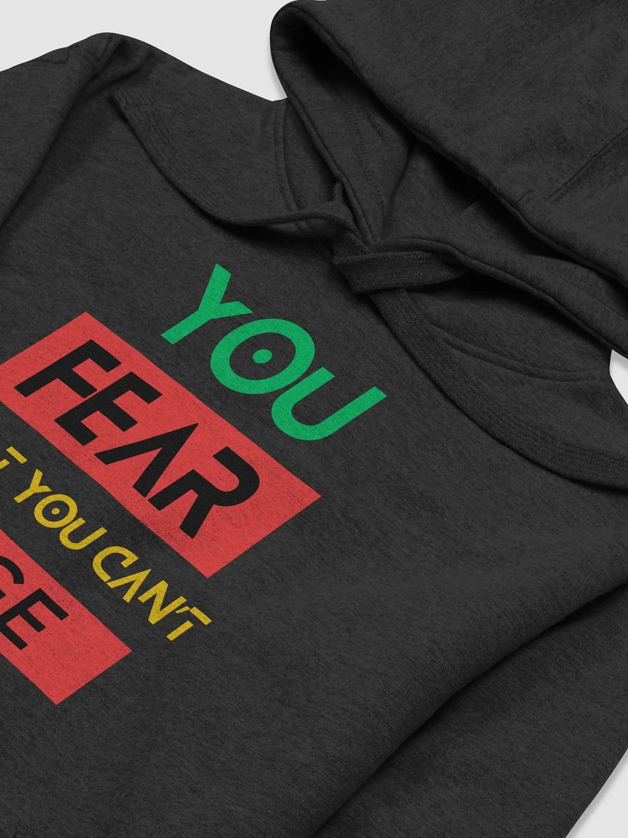 You Fear what you can't Cage Hoodie product image (3)