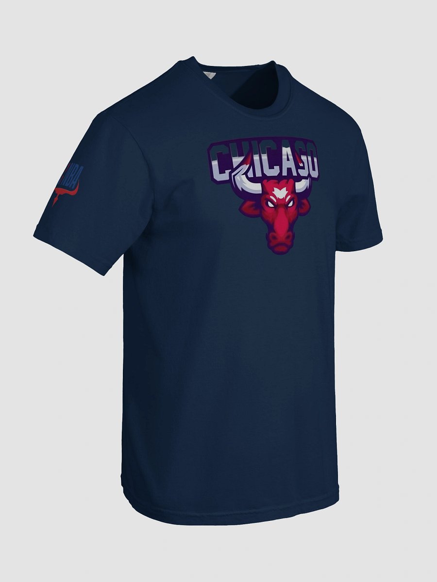 Garment-Dyed Heavyweight Man T-Shirt Chicago Logo product image (8)