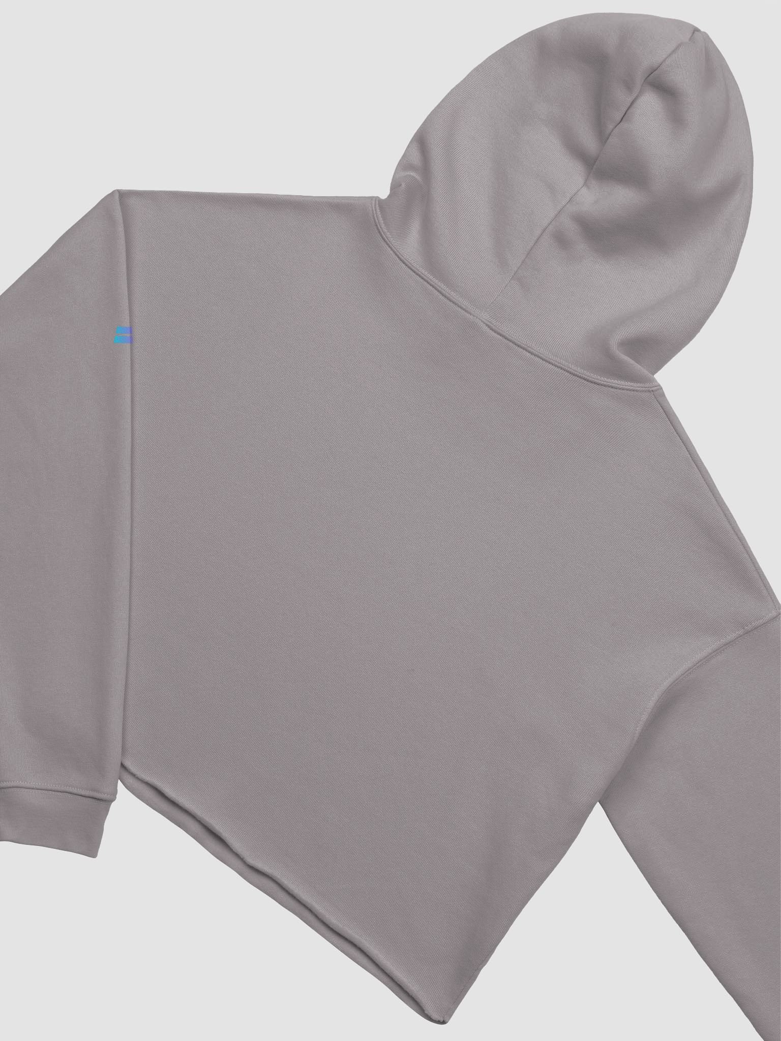 Rodibrogamer Logo Fleece Crop Hoddie product image (4)