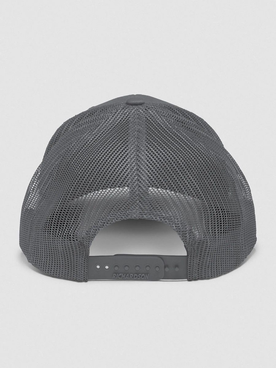 Chill w the Nerdforce Diggity Dane hat product image (4)