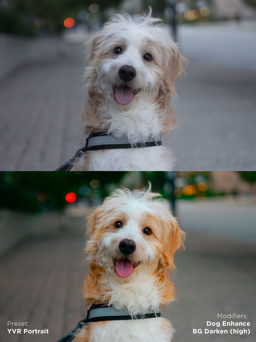 Pawtrait Presets product image (10)