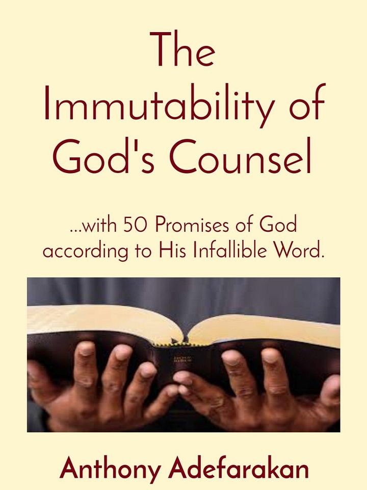 The Immutability of God's Counsel _ Ebook product image (1)