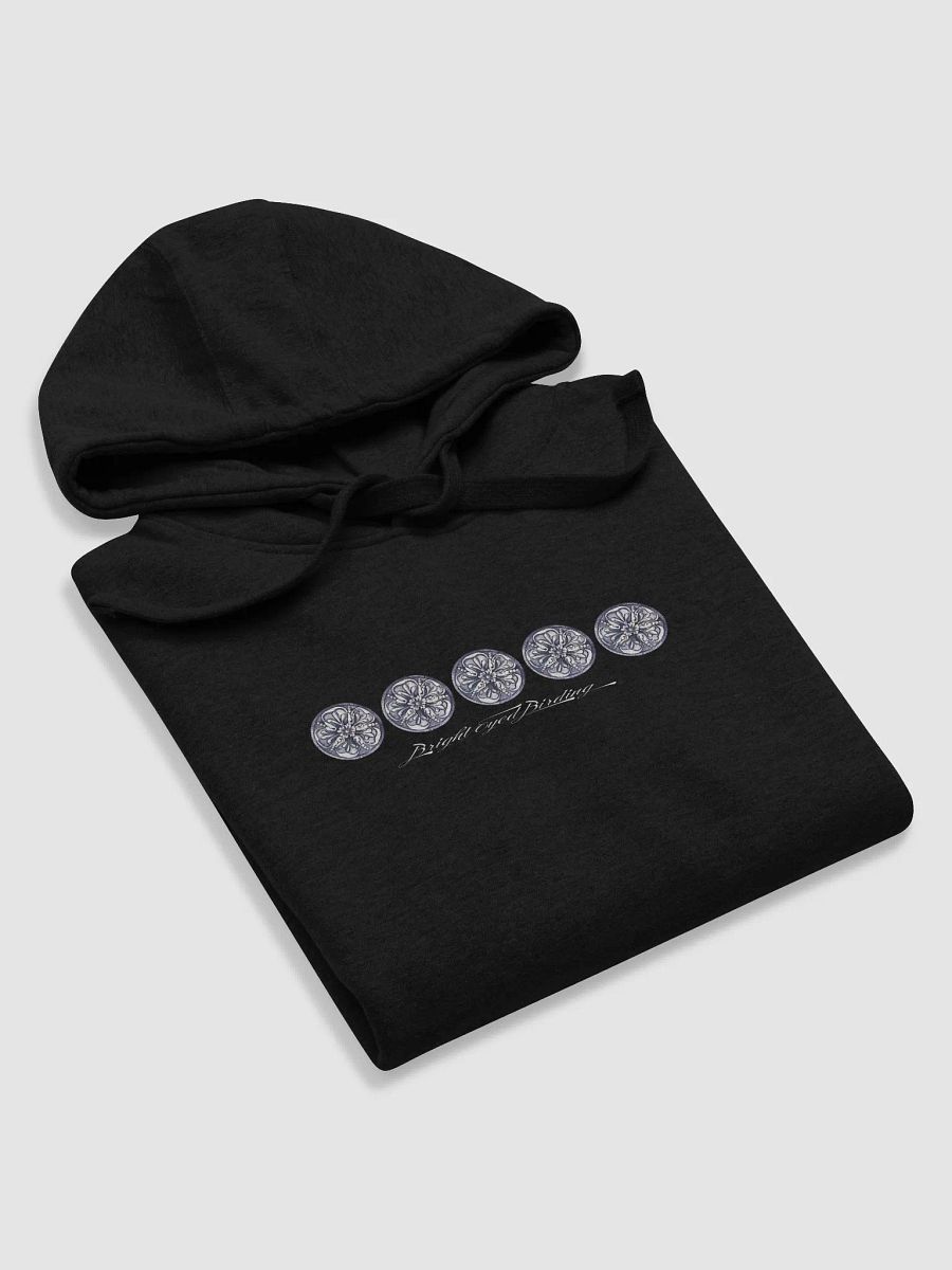 Flock 1 - Brewer's Blackbird Hoodie product image (15)