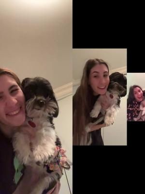 #duet with @Allie Miller YEAR 4 WOOOOOOO YEAAAAA 🩷🩷 #Duet #dog #dogsoftiktok #september #september21st #twitch #twitchstreamer #twitchaffiliate #animalcrossing #acnh #animalcrossingnewhorizons #ketchup #newhorizons #twitchclip #twitchstream #CapCut #villagerhunt #villagerhuting #lgbtqia #lesbian #swiftie #swifttok #taylorswift #tiktoktrend #fyp #foryou #foryoupage