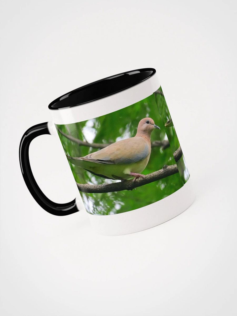 IUCAA Birds MUG product image (38)