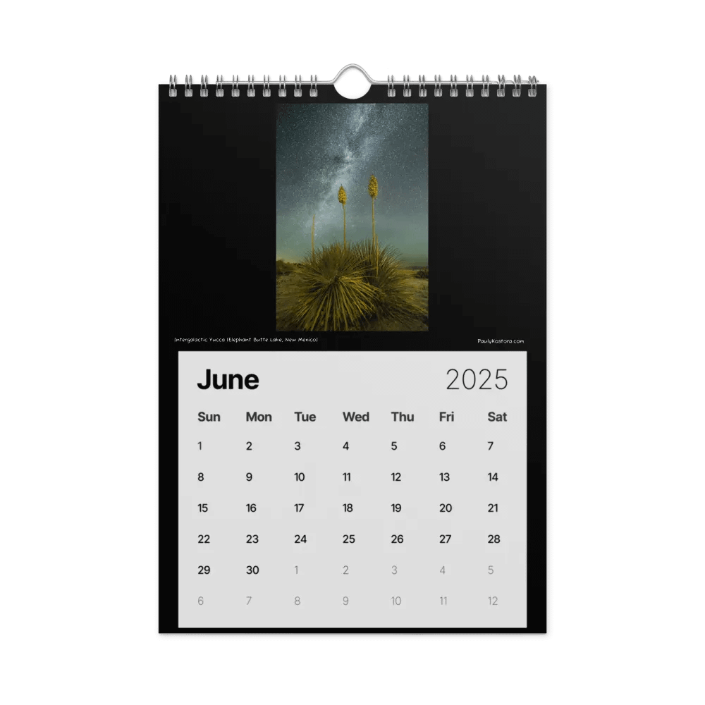 New Mexico Nights 2025 Calendar product image (7)