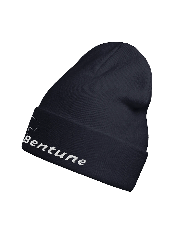 Bentune Beanie II product image (2)