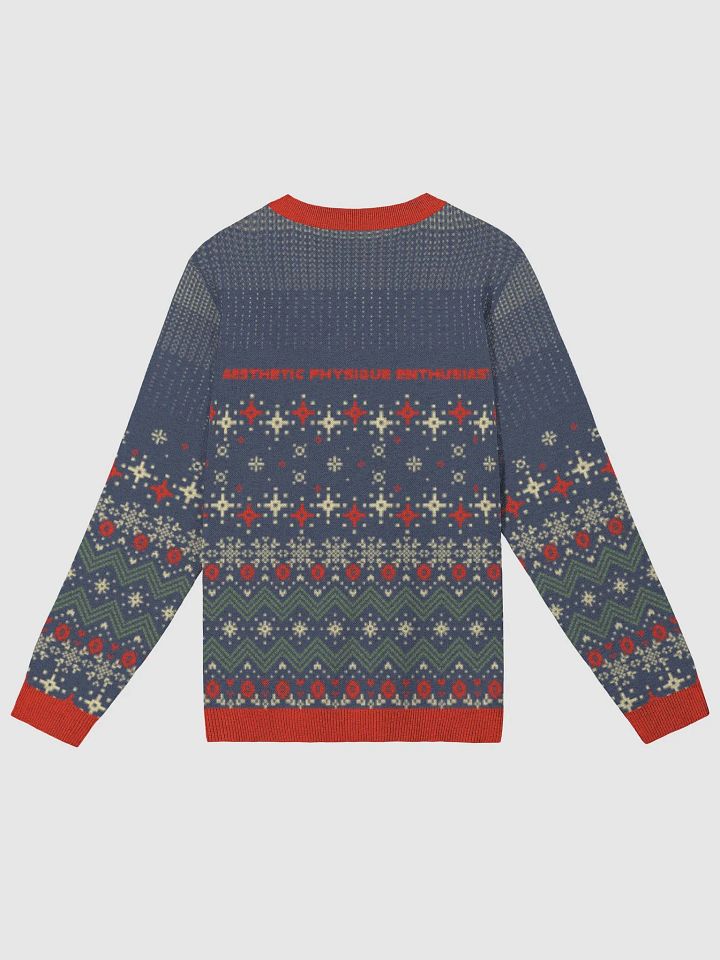 APEvolution Holiday Ugly Sweater [Womens] product image (7)