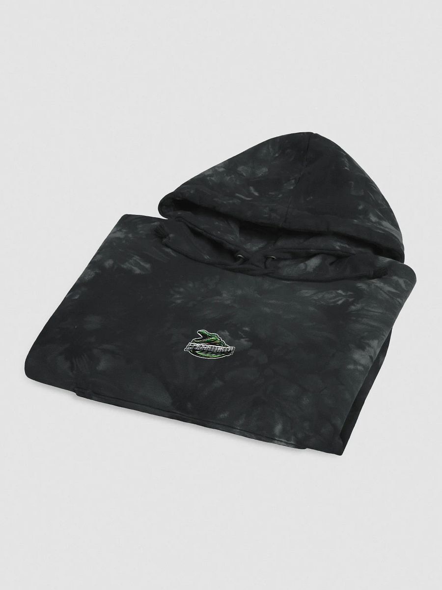 V2 Logo Champion Tie-Dye Hoodie product image (11)