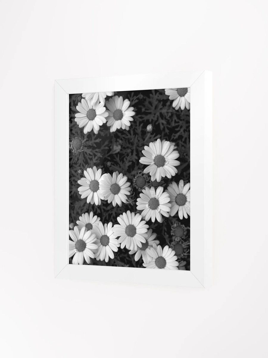 Daisy Flowers - Framed High-Quality Matte Poster product image (3)