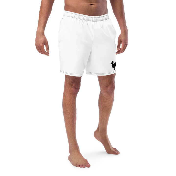 Dodo Swim suit product image (1)