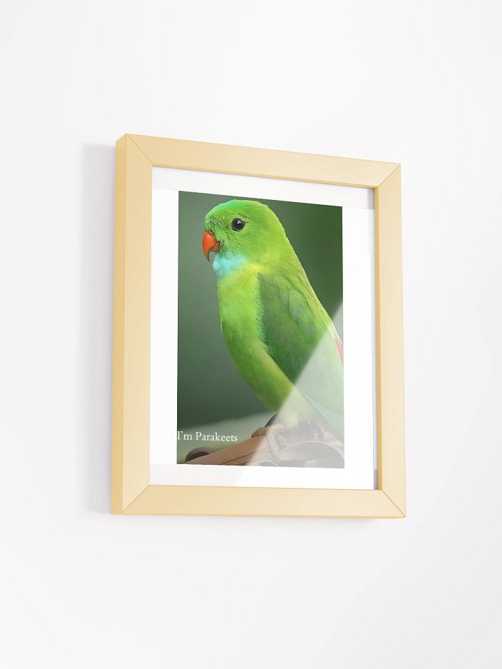 Framed High-Quality Matte Poster (in) Parakeets product image (19)