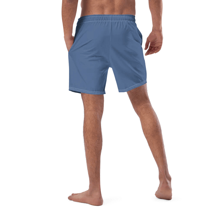Avalon Men's Logo Print Swim Trunks product image (2)