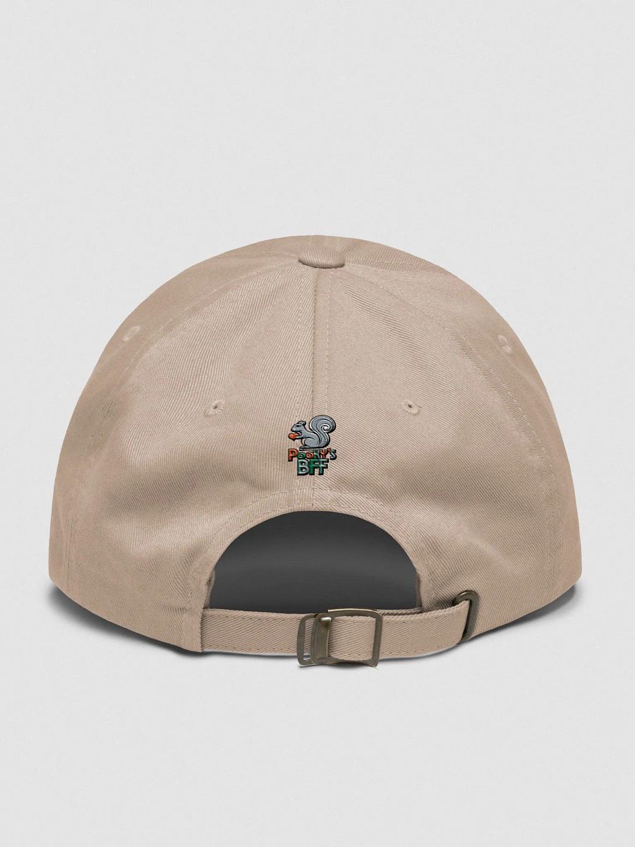 Baseball Hat Embroidered: Pooky's BFF, Colorful lettering, grey squirrel with red heart product image (2)