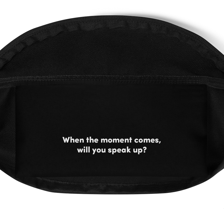 Fanny Pack product image (4)